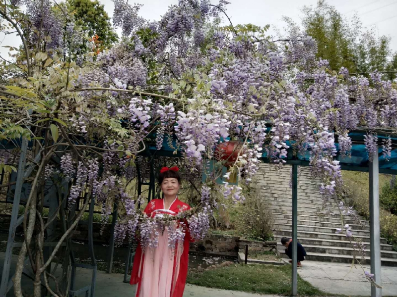 莉莉的第一张照片--平和征婚网
