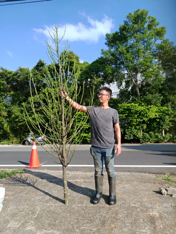 jeff的第二张照片--平和征婚网